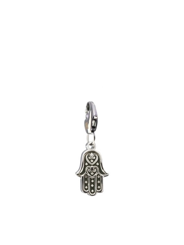 The Guardian Charm — Midnight Silver