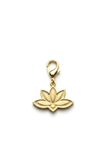 The Lotus Charm — Bloom Gold